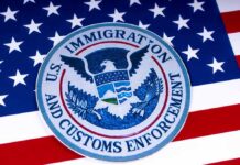 Does ICE Go Beyond Immigration Enforcement? ICE emblem on an American flag