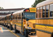 The Crash Every Parent Fears Row of yellow school buses parked outside a brick school