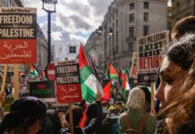 Young Voters Drift Left—But Why, Really? Crowd of protesters holding signs and Palestinian flags during a rally for Palestinian freedom