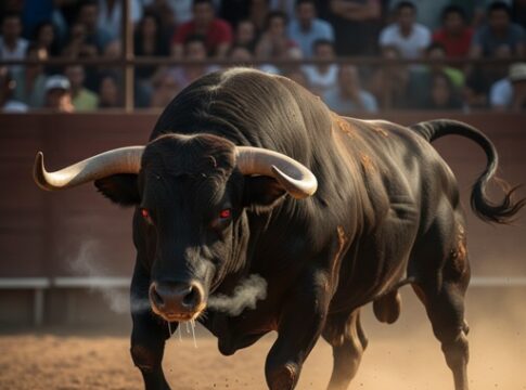 A powerful bull charging in a bullfighting arena with spectators in the background